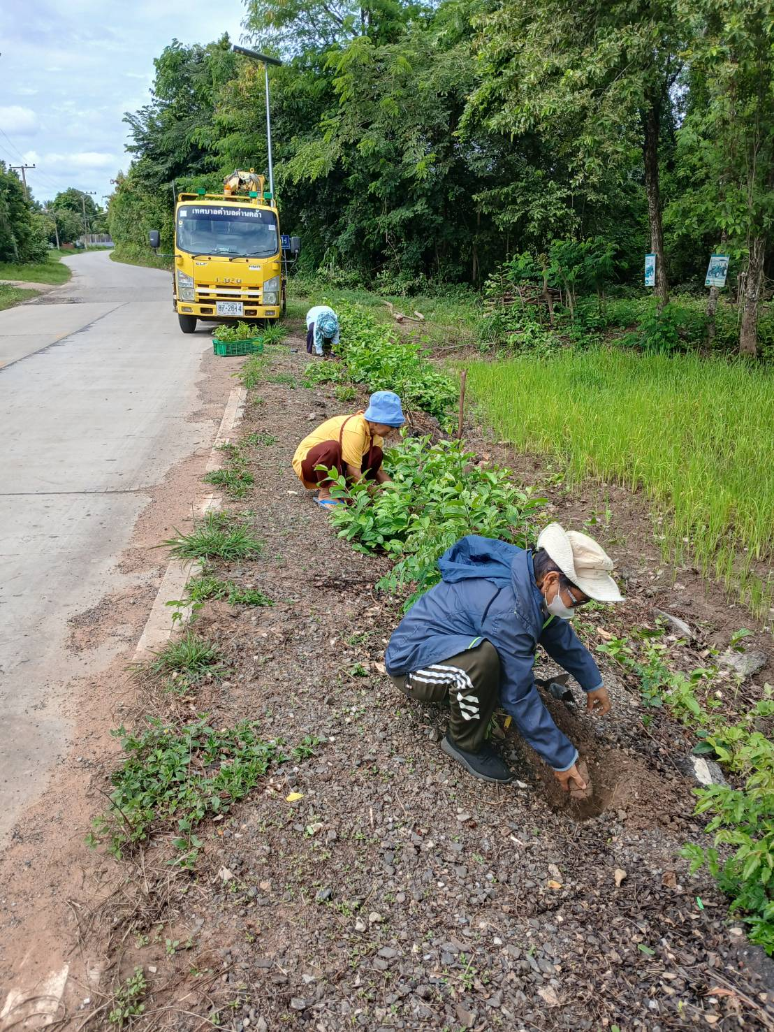 โครงการรณรงค์ปลูกต้นไม้ในวันต้นไม้ประจำปีของชาติ ประจำปีงบประมาณ พ.ศ 2568