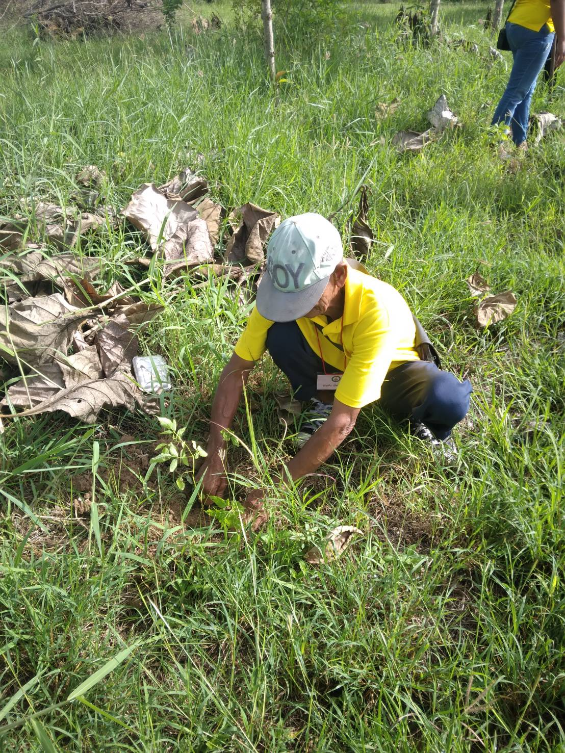 โครงการรณรงค์ปลูกต้นไม้ในวันต้นไม้ประจำปีของชาติ ประจำปีงบประมาณ พ.ศ 2568