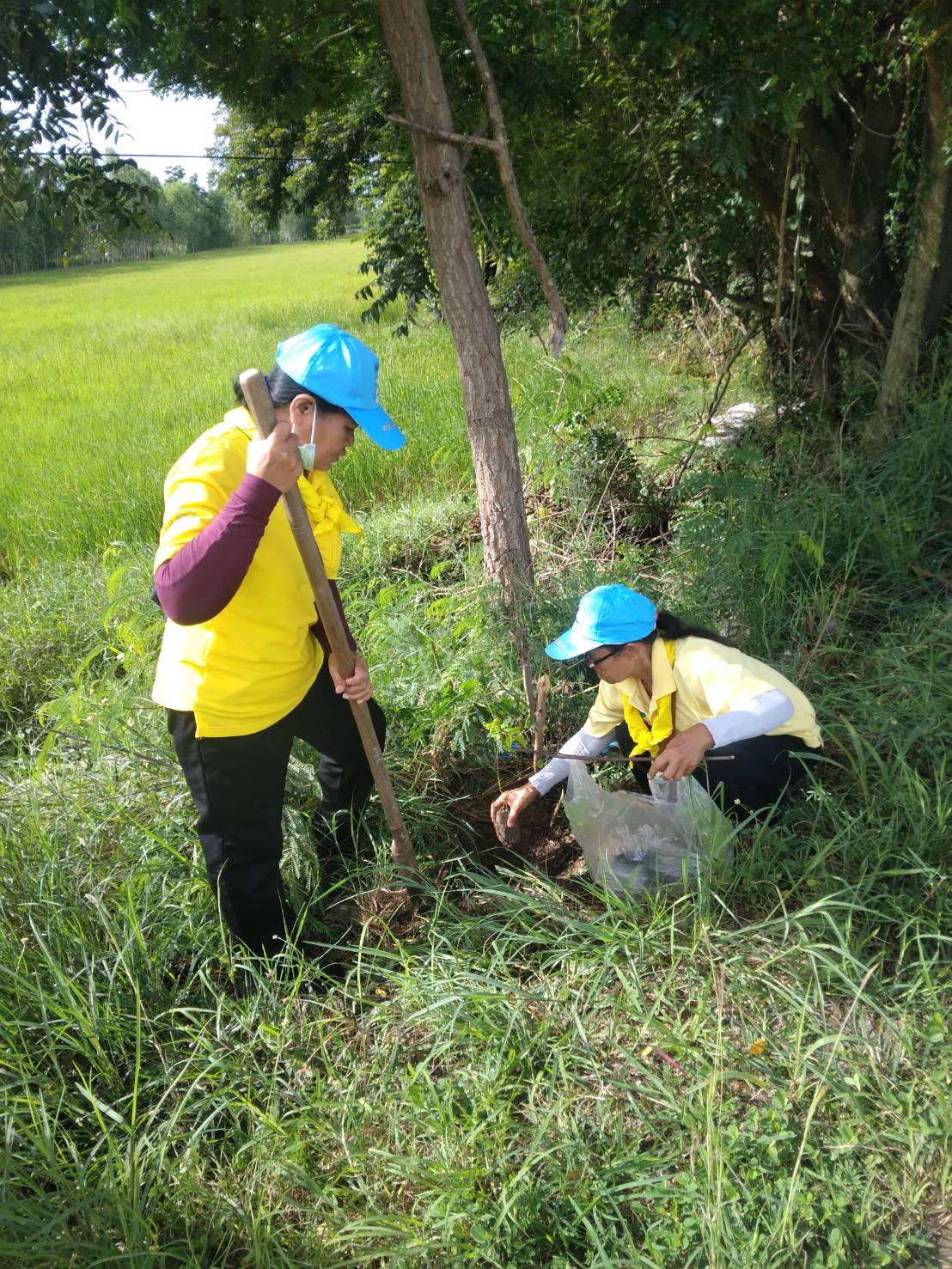 โครงการรณรงค์ปลูกต้นไม้ในวันต้นไม้ประจำปีของชาติ ประจำปีงบประมาณ พ.ศ 2568