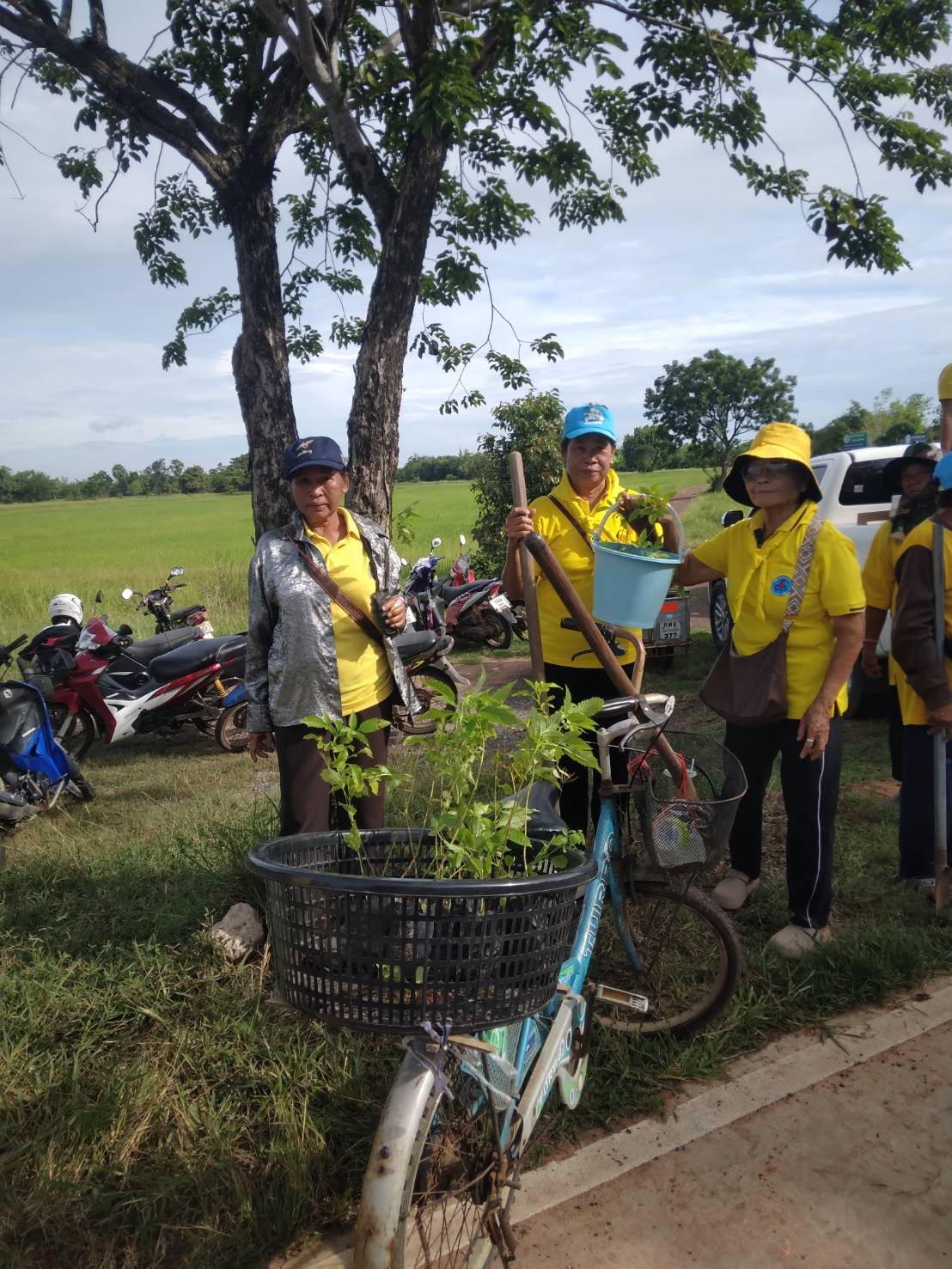 โครงการรณรงค์ปลูกต้นไม้ในวันต้นไม้ประจำปีของชาติ ประจำปีงบประมาณ พ.ศ 2568