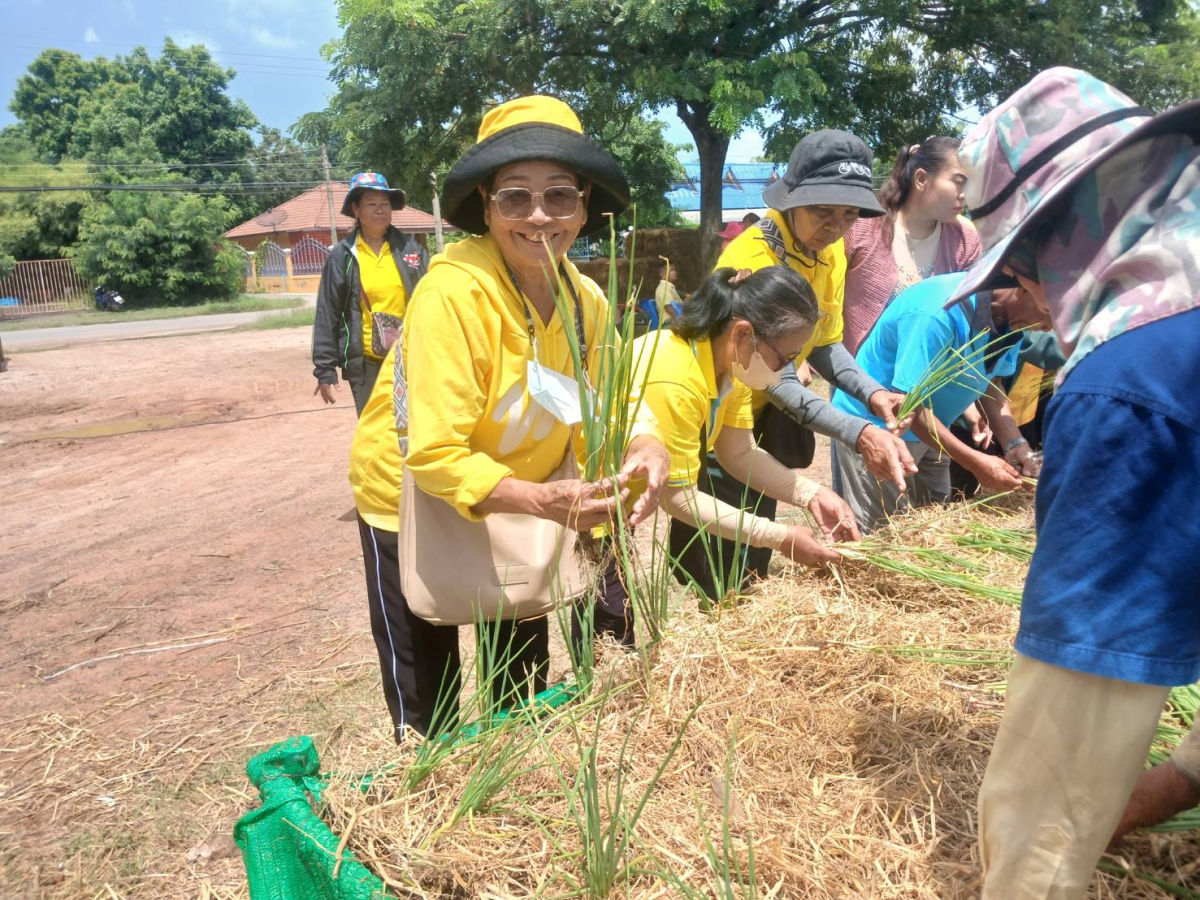 โครงการตามแนวพระราชดำรัสปรัชญาเศรษฐกิจพอเพียง ประจำปีงบประมาณ 2568