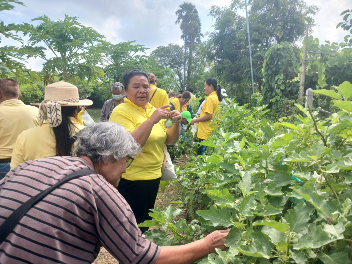 โครงการตามแนวพระราชดำรัสปรัชญาเศรษฐกิจพอเพียง ประจำปีงบประมาณ 2568