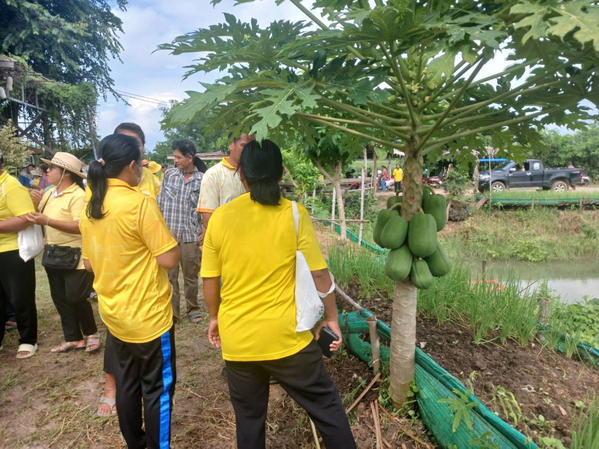 โครงการตามแนวพระราชดำรัสปรัชญาเศรษฐกิจพอเพียง ประจำปีงบประมาณ 2568